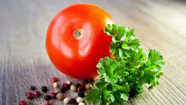 تصویر 2 از خرید و قیمت گوجه فرنگی + فروش عمده